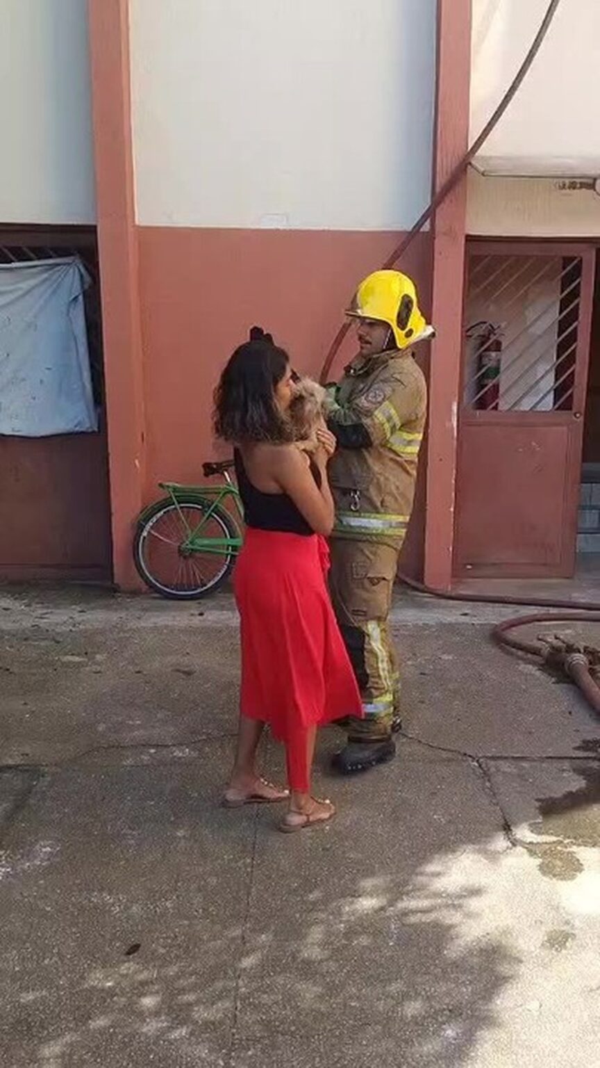 Corpo de Bombeiros Salva Cachorrinha em Incêndio em Apartamento em BH Corpo de Bombeiros Salva Cachorrinha em Incêndio em Apartamento em BH
