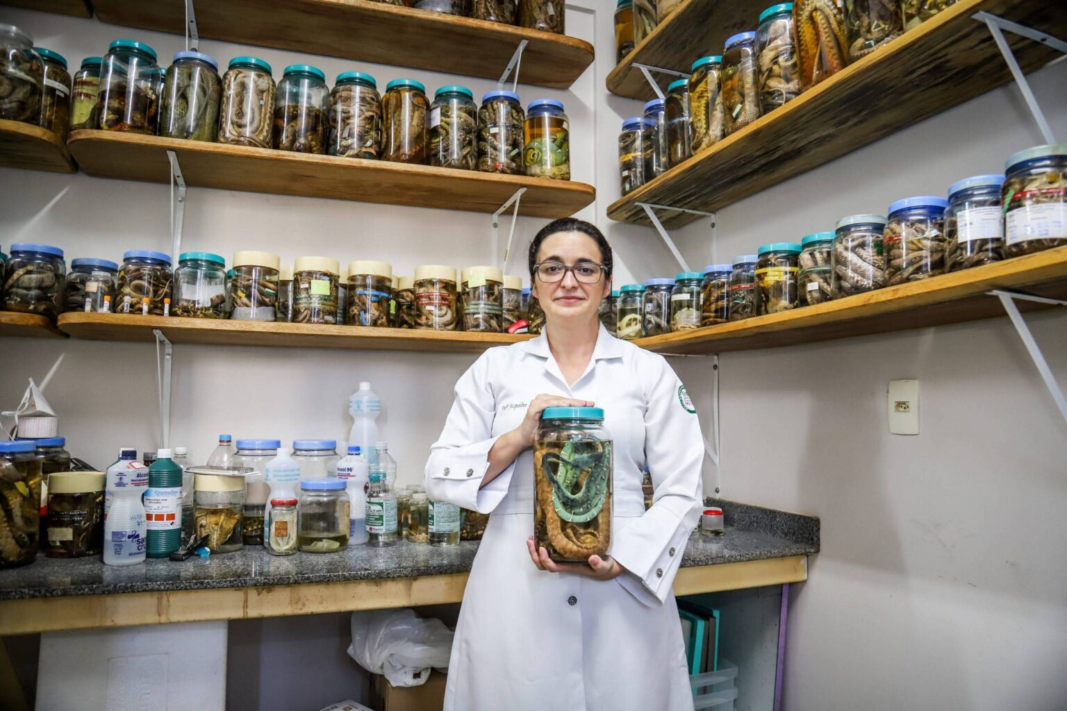 Enfermeira Explora Terapia a Laser no Tratamento de Lesões por Picada de Serpente Enfermeira Explora Terapia a Laser no Tratamento de Lesões por Picada de Serpente