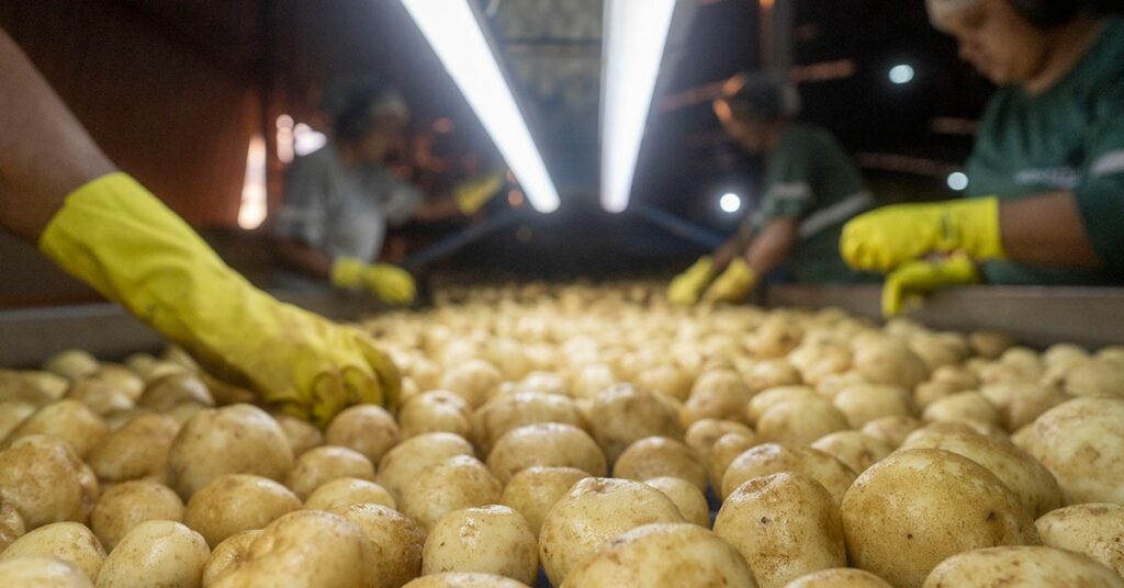 Minas Gerais Atrai R$ 65,3 Bilhões em Investimentos Privados em 2025