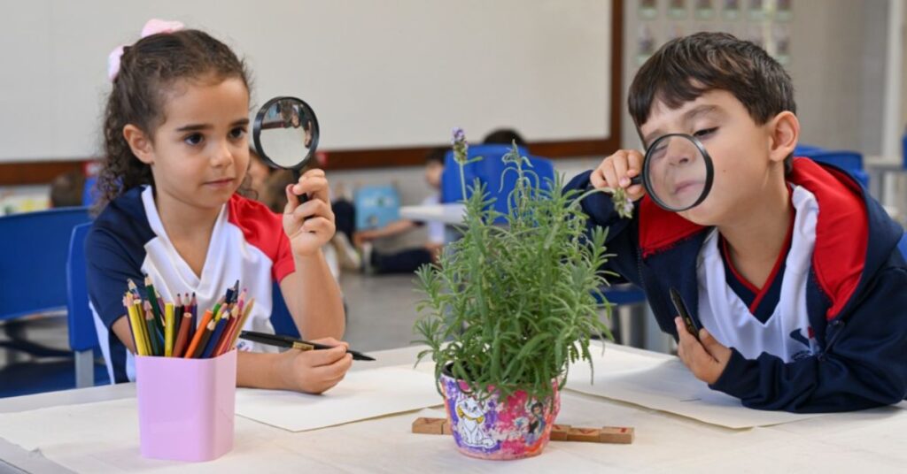 Rede Santo Agostinho Recebe Selo ODS: Um Reconhecimento Importante