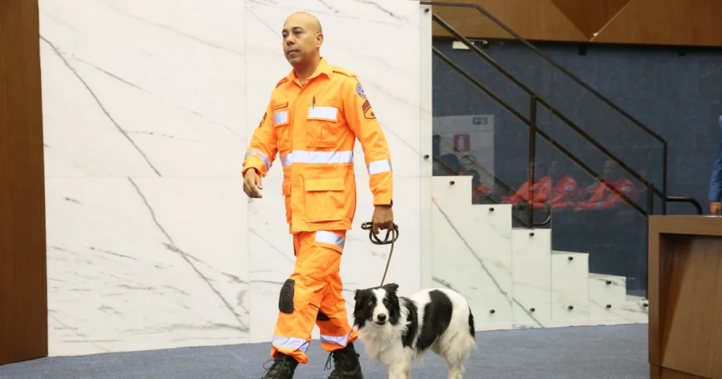 Belo Horizonte Autoriza Uso de Cadáveres para Treinamento de Cães Farejadores Belo Horizonte Autoriza Uso de Cadáveres para Treinamento de Cães Farejadores
