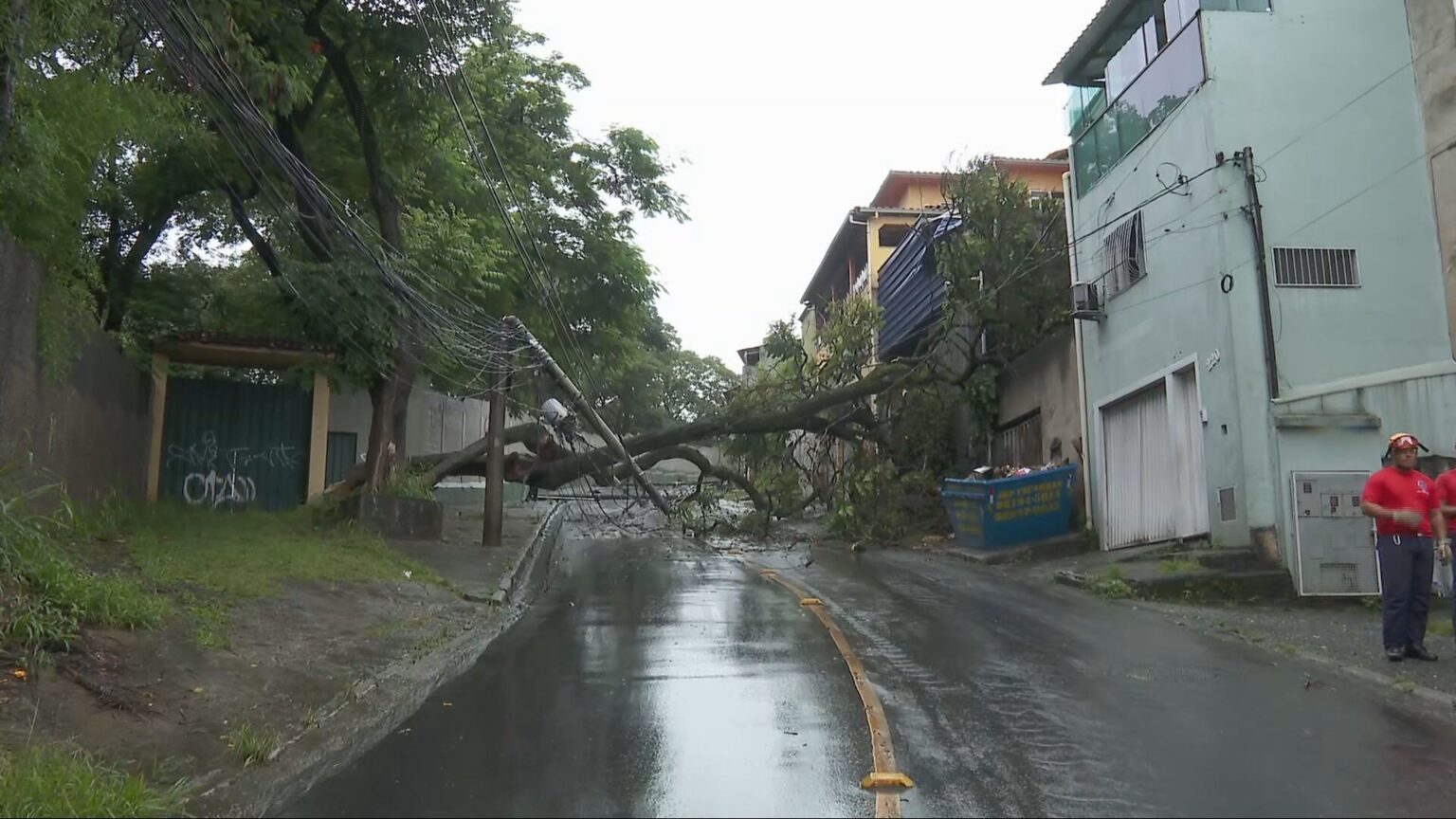 Chuva intensa em Belo Horizonte causa quedas de árvores e postes; cinco regiões estão em alerta
