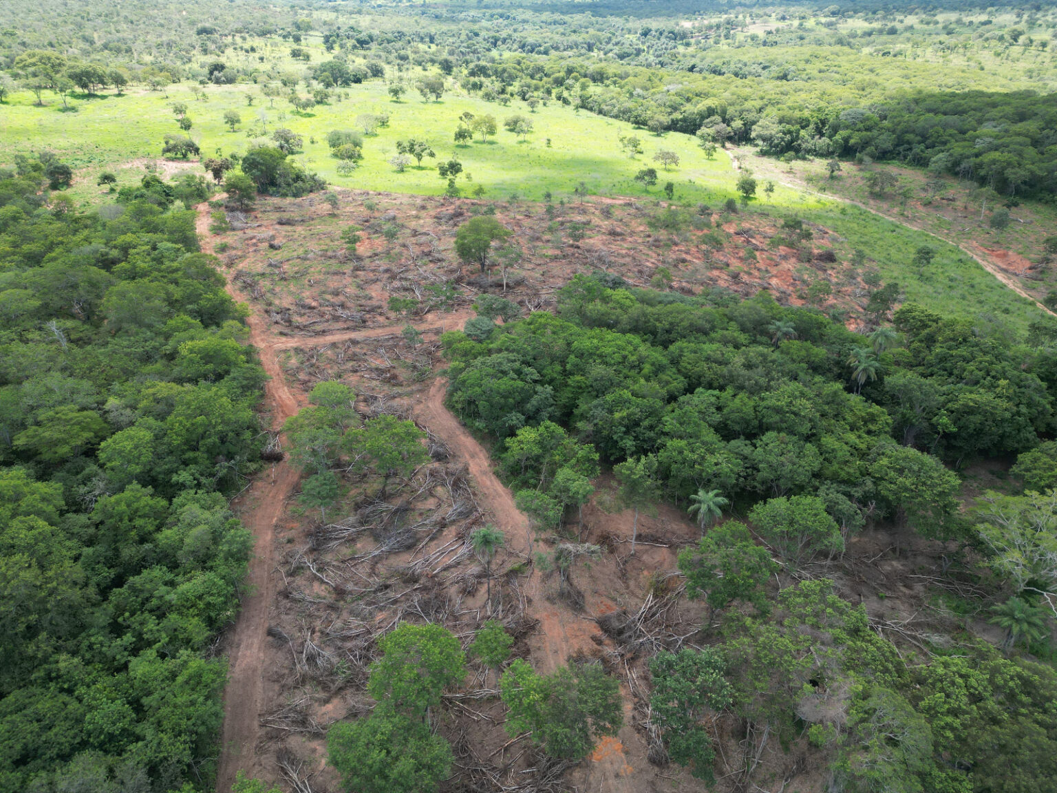 Desafios Ambientais em Minas Gerais: Crítica à Política de Zema e Seus Impactos Desafios Ambientais em Minas Gerais: Crítica à Política de Zema e Seus Impactos
