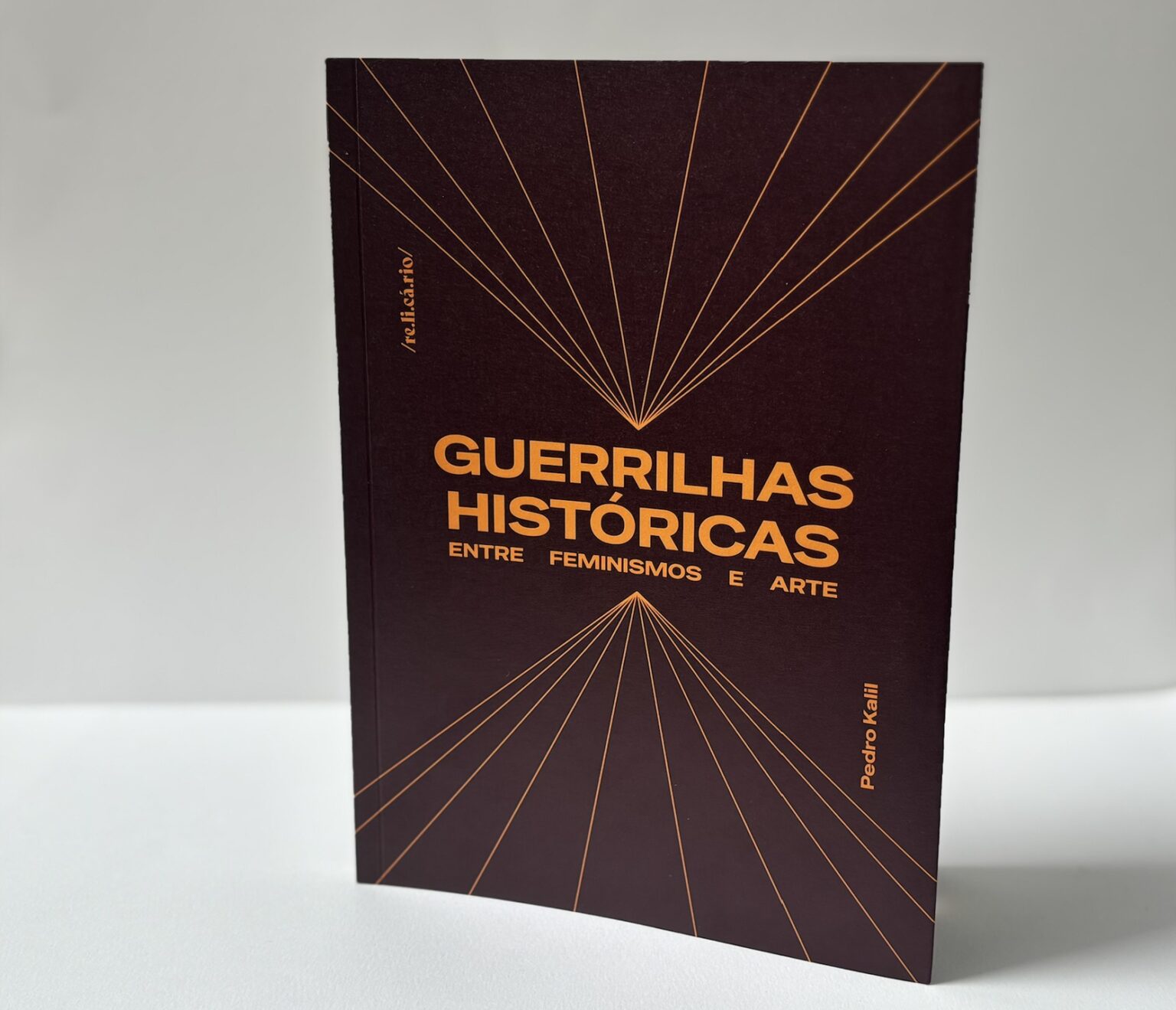 Lançamento de Livro na UFMG Explora a Influência do Feminismo nas Artes Contemporâneas