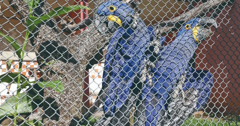 Novas Linhas de Ônibus de Graça em BH a Partir deste Domingo (25) Novas Linhas de Ônibus de Graça em BH a Partir deste Domingo (25)