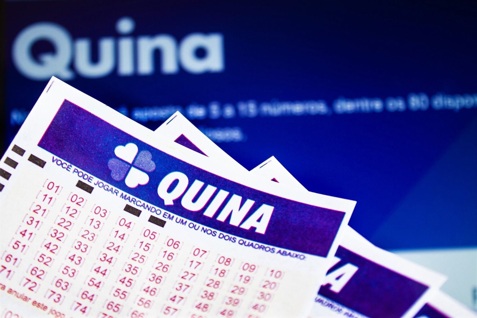 Quina 6938: Cinco Vencedores em Minas Gerais Levam Prêmio de R$ 7.976,95 Quina 6938: Cinco Vencedores em Minas Gerais Levam Prêmio de R$ 7.976,95