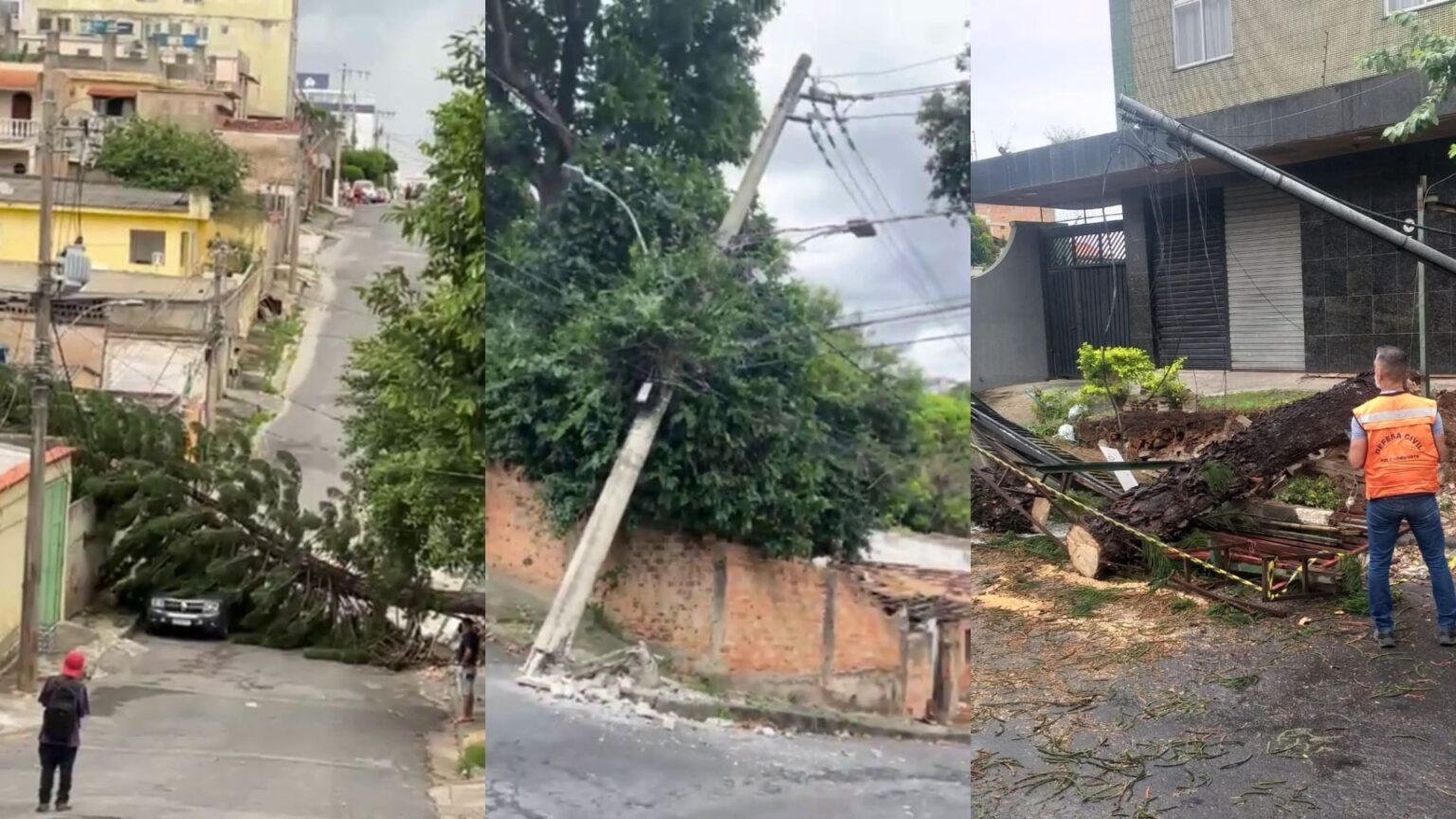 Vendaval Derruba Árvore em Templo Religioso de BH e Alerta Defesa Civil Vendaval Derruba Árvore em Templo Religioso de BH e Alerta Defesa Civil