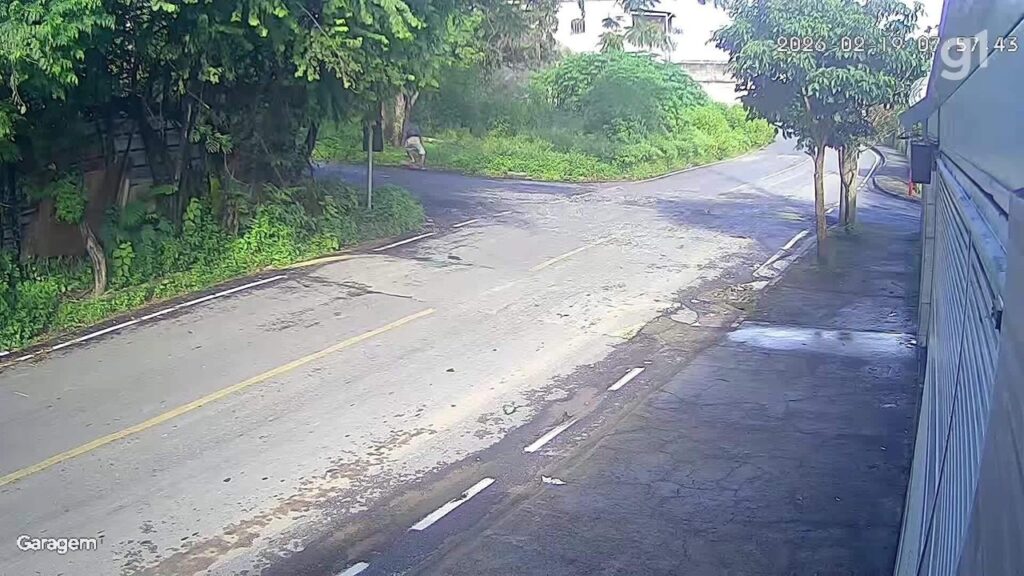 Bebê é Abandonada em Mata e Resgatada por Policial Militar em BH