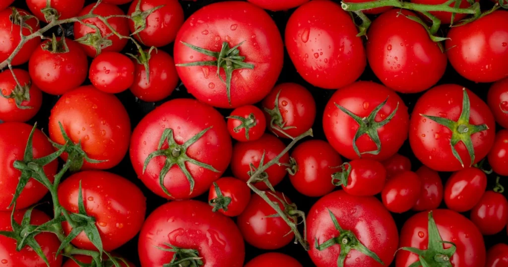Cesta Básica em Belo Horizonte: Aumento de 50% no Preço do Tomate Impacta Consumidores