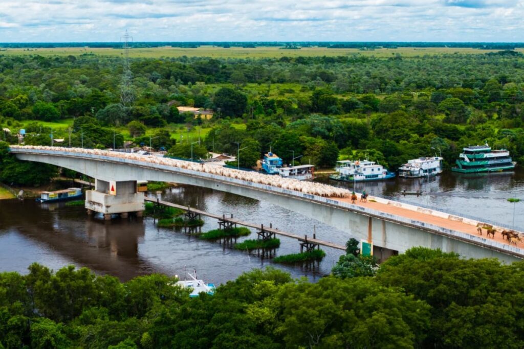 Fotógrafo Captura a Cultura Pantaneira em MS: A Comitiva de João Luiz