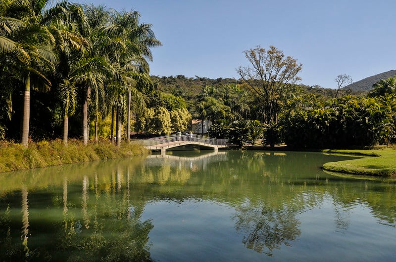 Inhotim é Destacado pelo New York Times como um dos 52 Destinos Imperdíveis para 2026 Inhotim é Destacado pelo New York Times como um dos 52 Destinos Imperdíveis para 2026