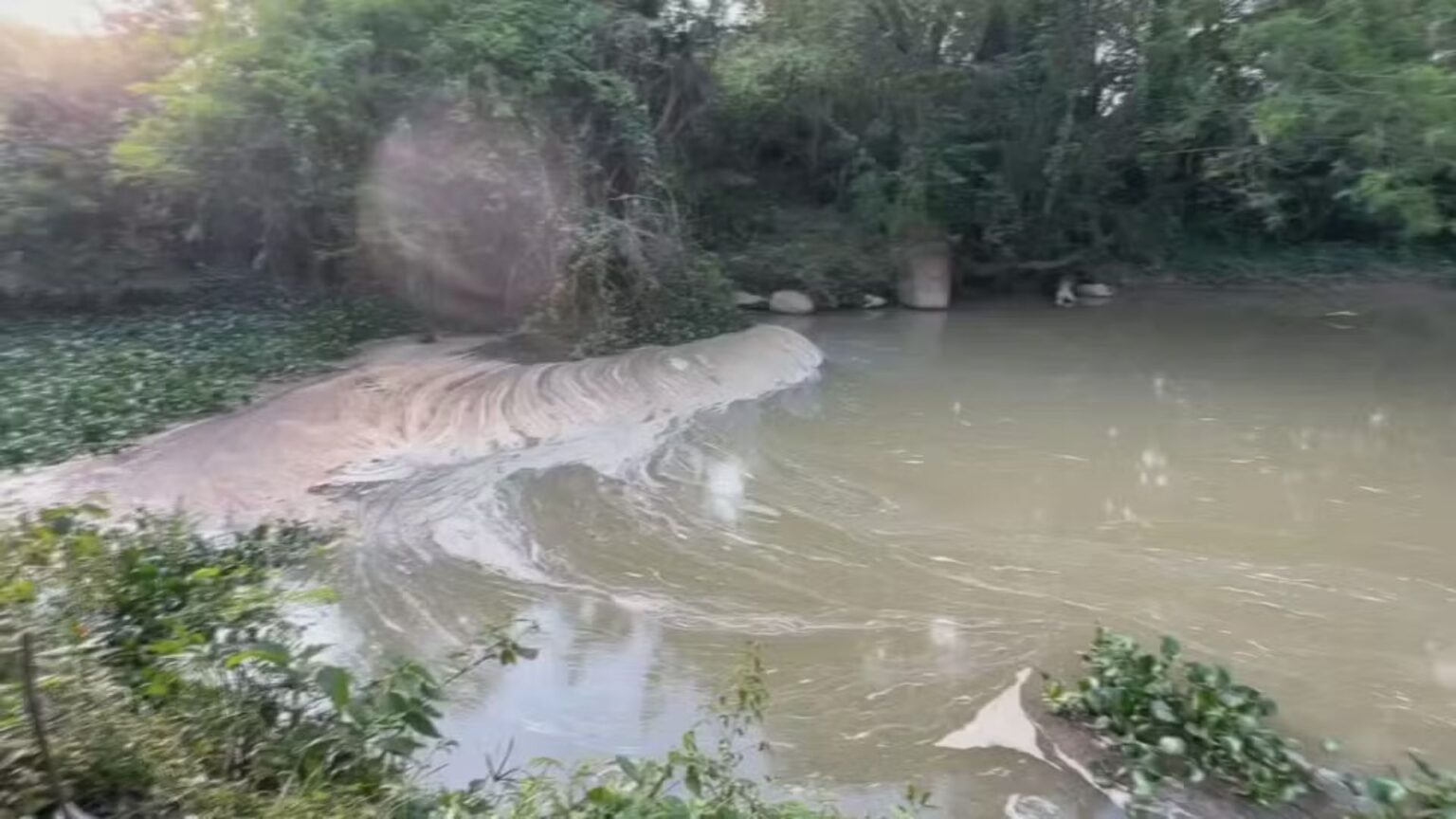 MP Solicita Multa à SABESP por Despejo Irregular de Esgoto no Rio Pirapora