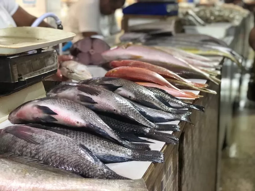 Preços de Pescados em Belo Horizonte Disparam até 31% com a Quaresma Preços de Pescados em Belo Horizonte Disparam até 31% com a Quaresma
