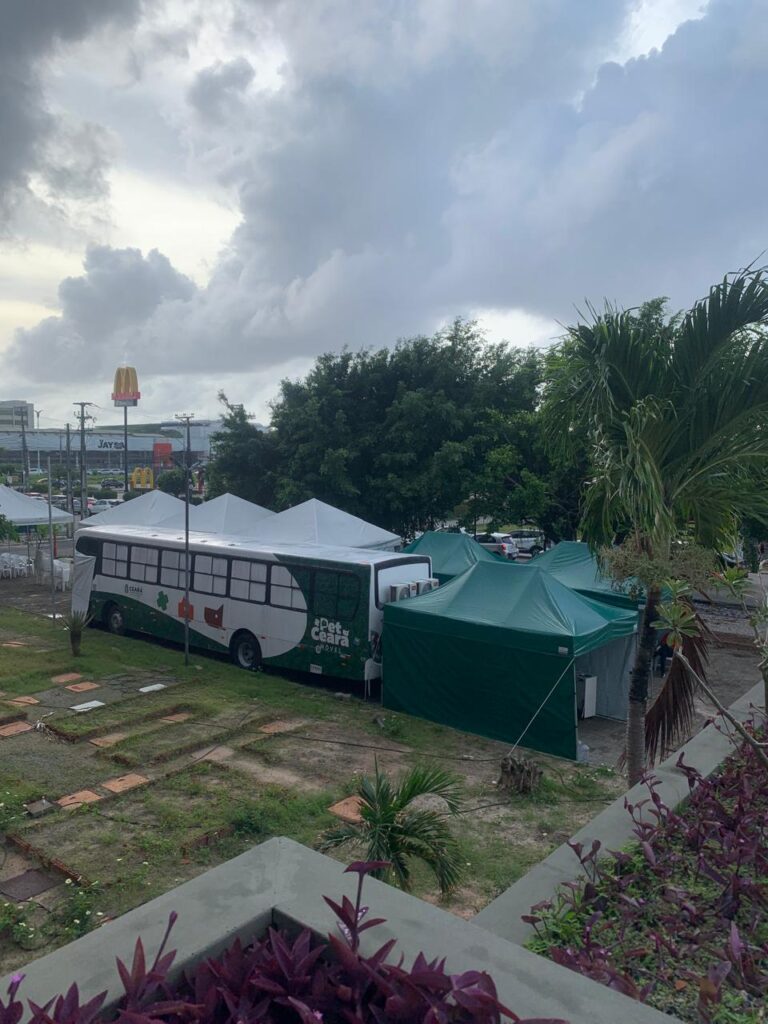 UNI7 e Secretaria de Proteção Animal Unem Forças com o Pet Móvel em Luciano Cavalcante