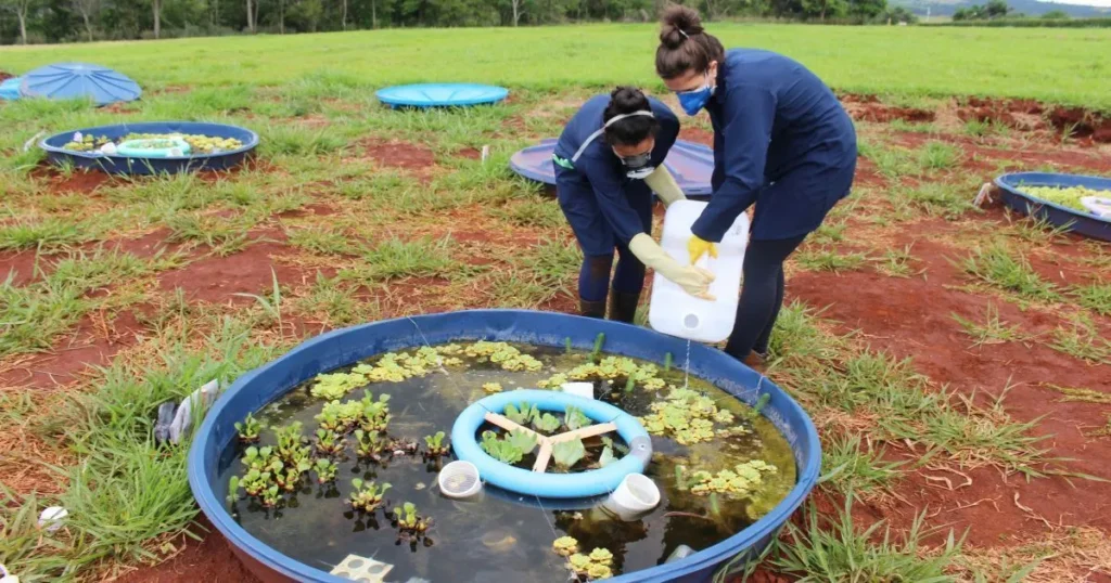 Agrotóxicos e Vinhaça: Uma Ameaça Real aos Ecossistemas Aquáticos