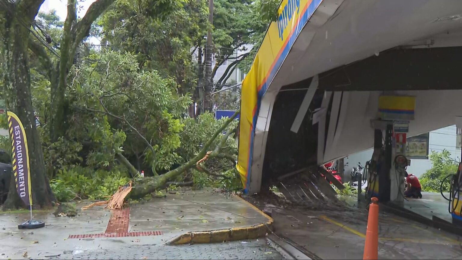 Árvore de Grande Porte Cai Sobre Carro em Posto de Combustíveis em BH