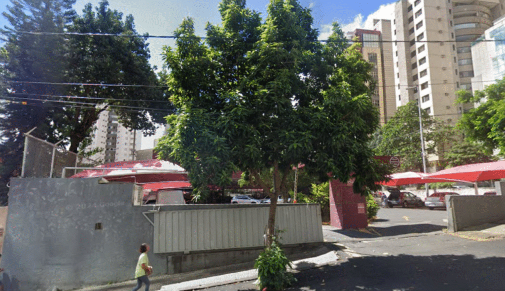 Árvore Imponente Cai e Bloqueia Rua na Savassi, em BH Árvore Imponente Cai e Bloqueia Rua na Savassi, em BH