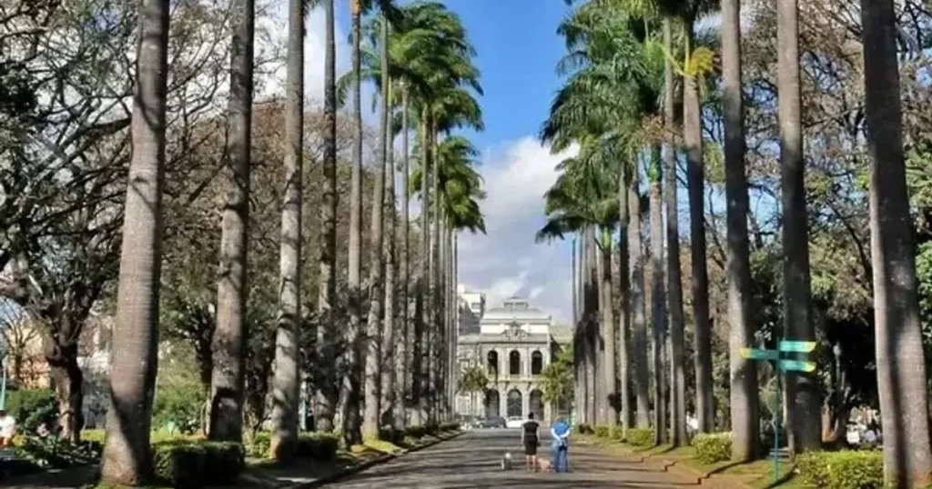 Belo Horizonte é Reconhecida como 'Cidade Árvore do Mundo' pelo Terceiro Ano Consecutivo