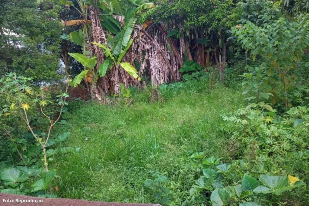 Fiscalização em Lafaiete: Mais de 4 mil Lotes Irregulares Notificados