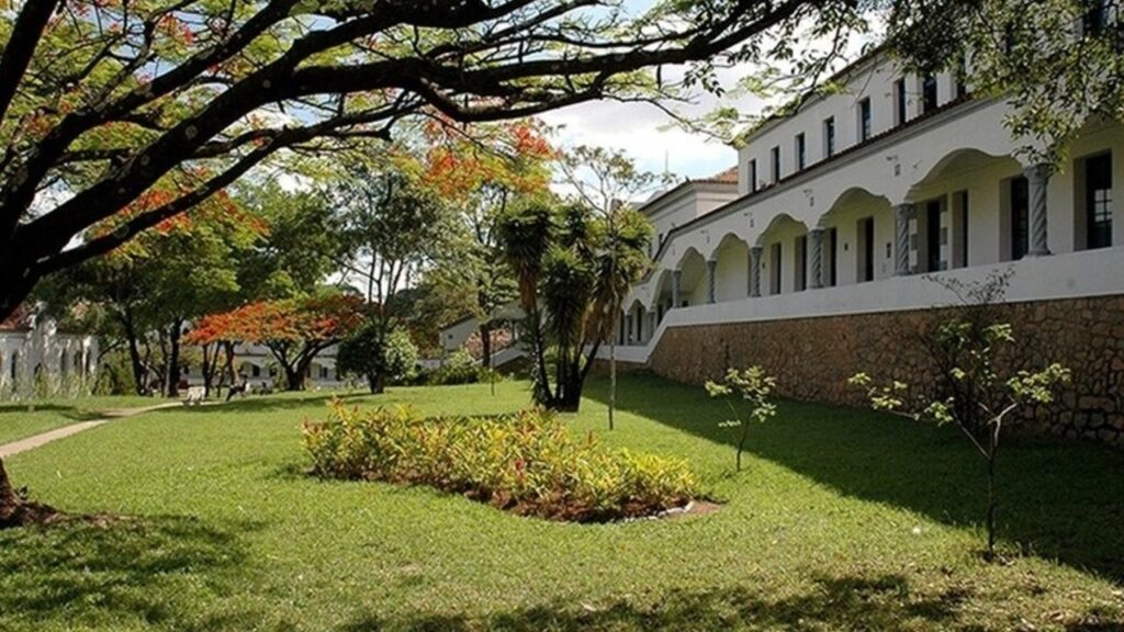 Guia Completo para Calouros no Coração Eucarístico: Dicas Essenciais para Aproveitar a Faculdade