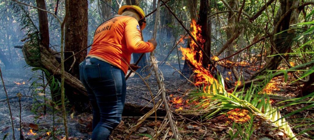 Nova Política de Segurança contra Incêndios é Aprovada na Assembleia Legislativa de Roraima
