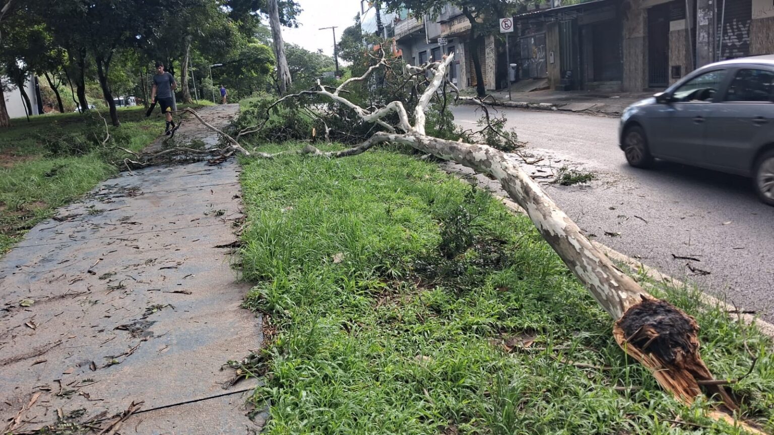Temporal em Belo Horizonte: Estragos e uma vida perdida em meio a alagamentos Temporal em Belo Horizonte: Estragos e uma vida perdida em meio a alagamentos