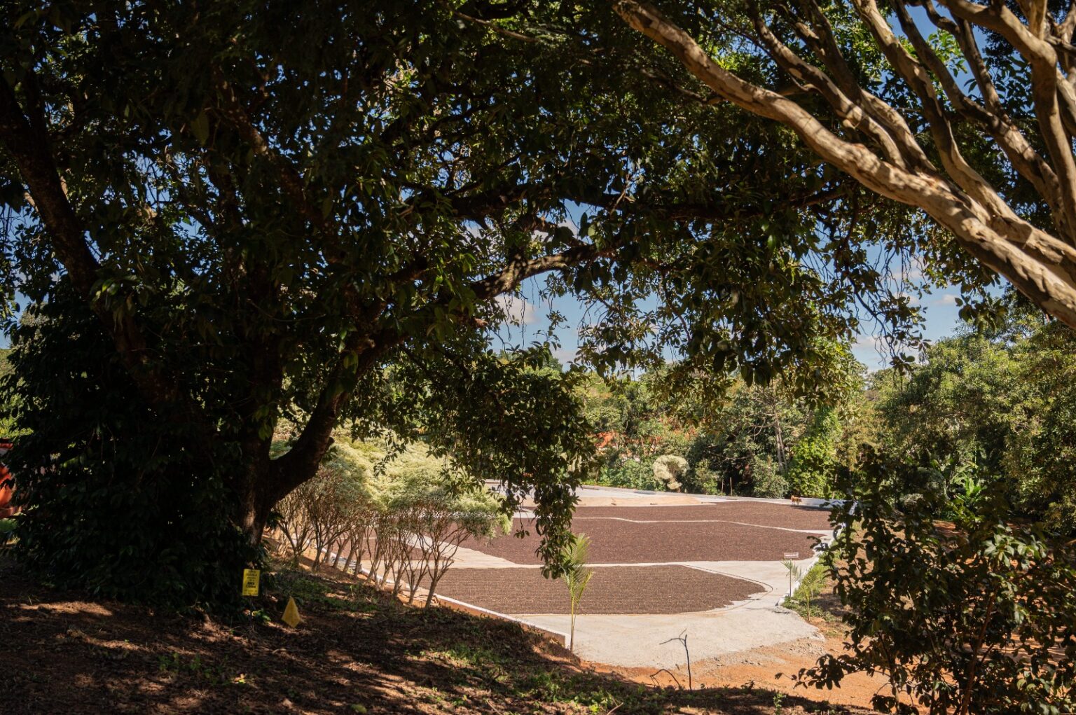 BDMG Disponibiliza R$ 700 Milhões para Impulsionar a Economia Verde em Minas Gerais