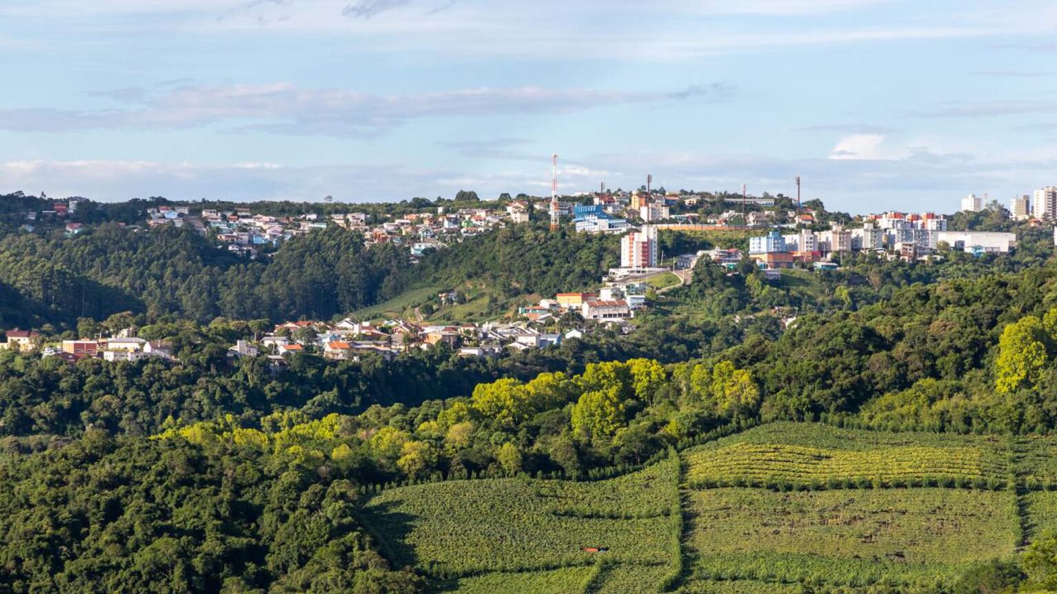 Bento Gonçalves: A Capital Brasileira do Vinho e seu Sucesso Internacional Bento Gonçalves: A Capital Brasileira do Vinho e seu Sucesso Internacional