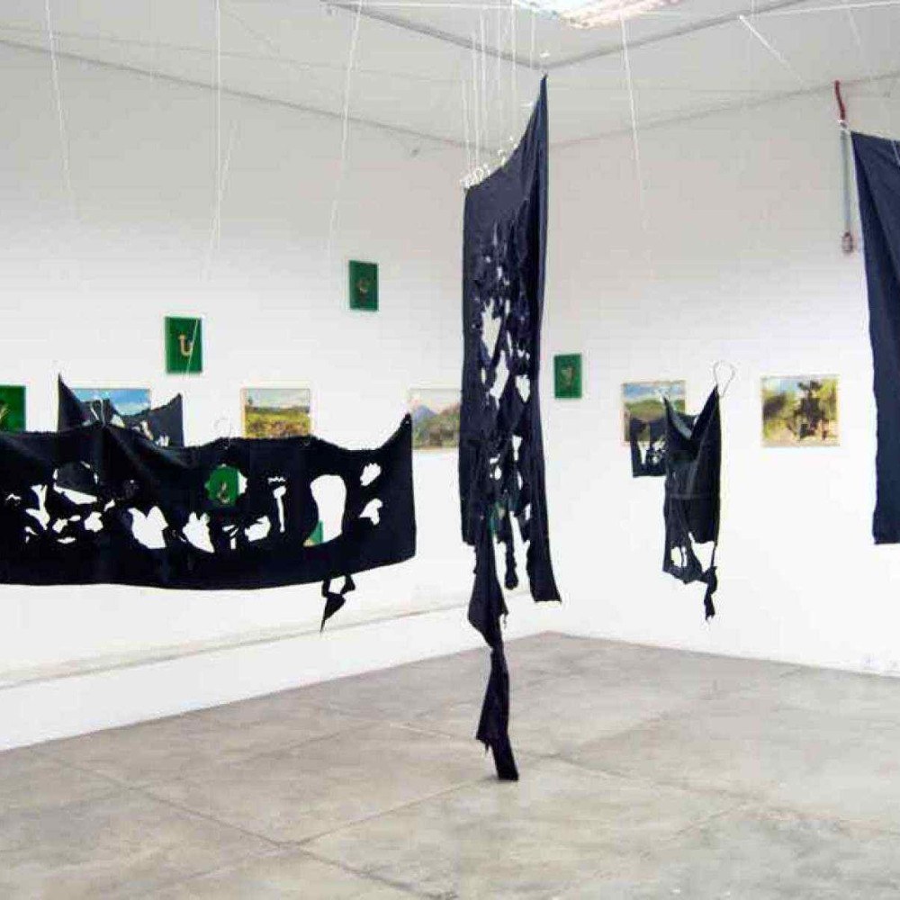 Exposições em BH: Reflexões Artísticas sobre a Relação com a Natureza Exposições em BH: Reflexões Artísticas sobre a Relação com a Natureza