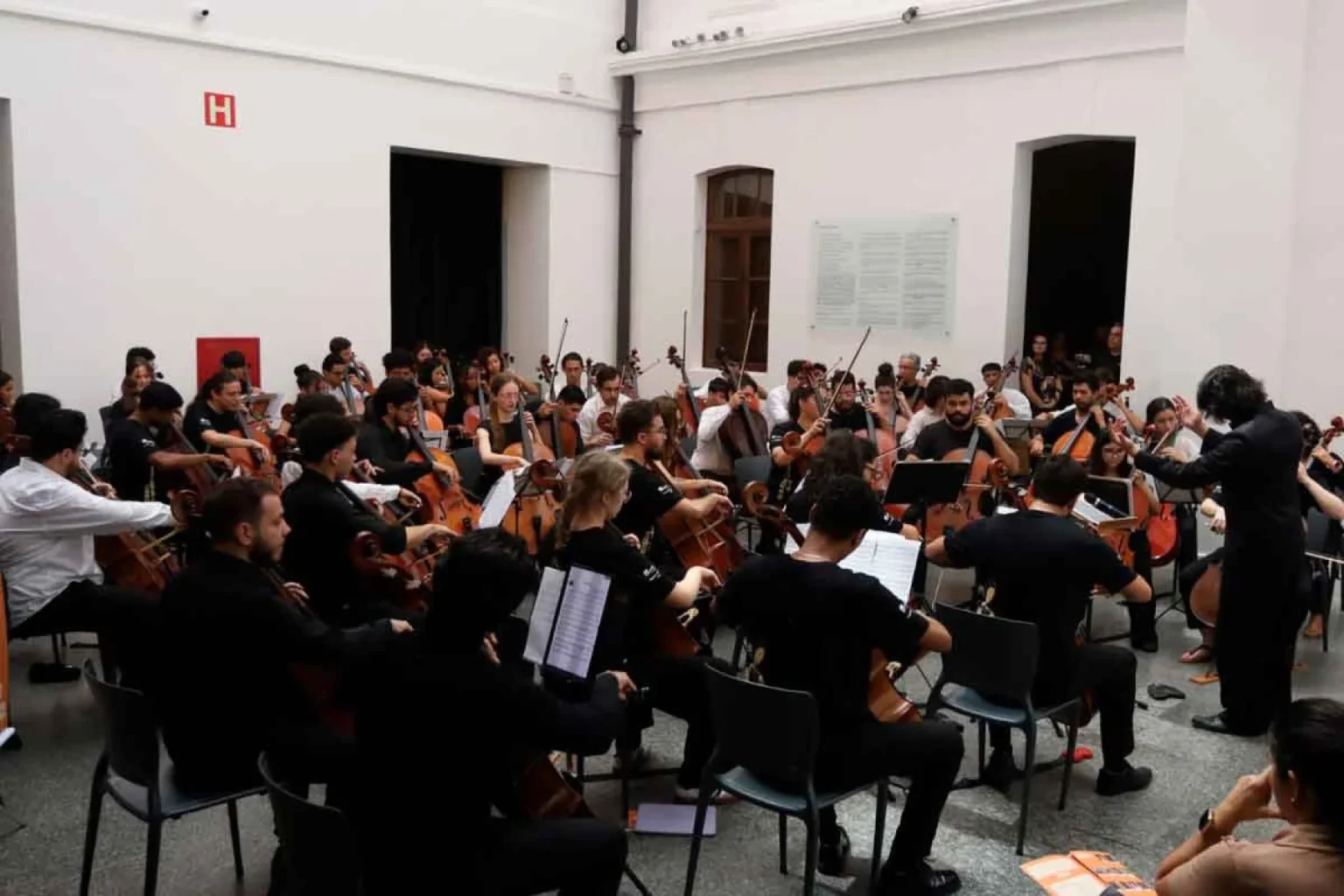 Festival de Violoncelos em BH: Encerramento com Concerto Especial