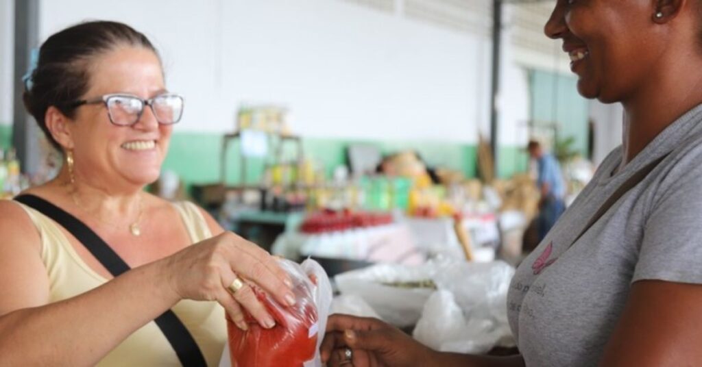 Governo de Minas Gerais Anuncia Novo Marco para Impulsionar Desenvolvimento Econômico