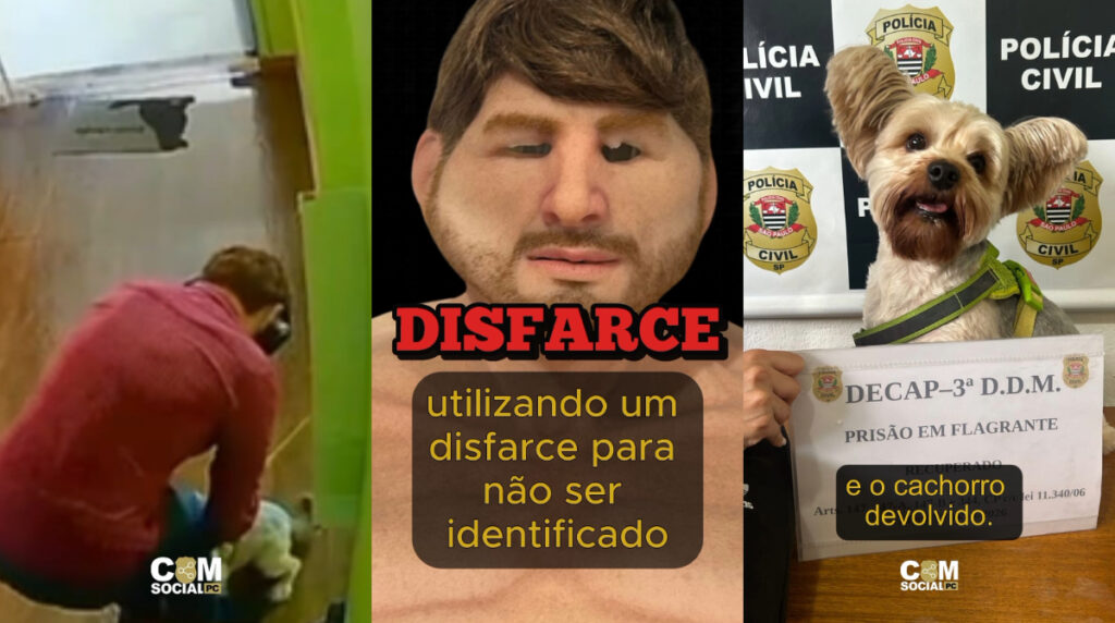 Homem é preso por roubo de cachorro com máscara realista em São Paulo