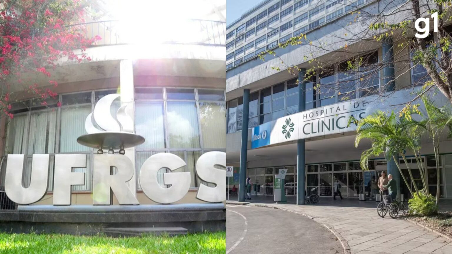 Impacto da Desigualdade de Gênero na Saúde Mental dos Filhos: Um Estudo Revelador Impacto da Desigualdade de Gênero na Saúde Mental dos Filhos: Um Estudo Revelador