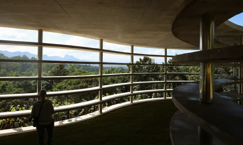 Inhotim Comemora 20 Anos com a Inauguração de Três Novas Obras