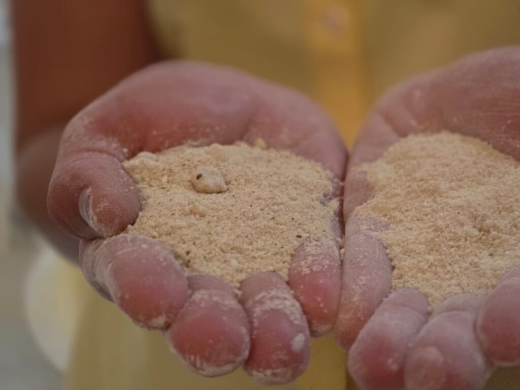 Investimento de R$ 15 Milhões Transforma Mandioca em Insumo para Mineração em Minas