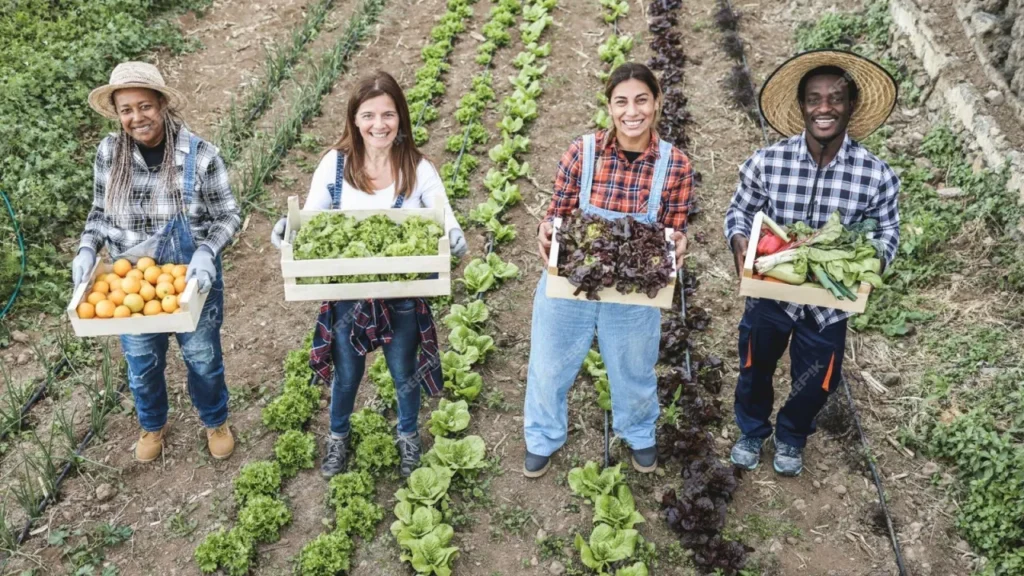 MG Aumenta Regularização Fundiária e Beneficia 270 Municípios MG Aumenta Regularização Fundiária e Beneficia 270 Municípios