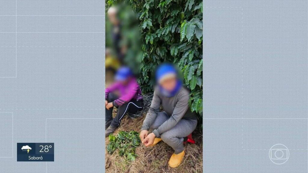 Trabalho Análogo ao Escravo em Minas Gerais: Novos Casos em BH e Patrocínio