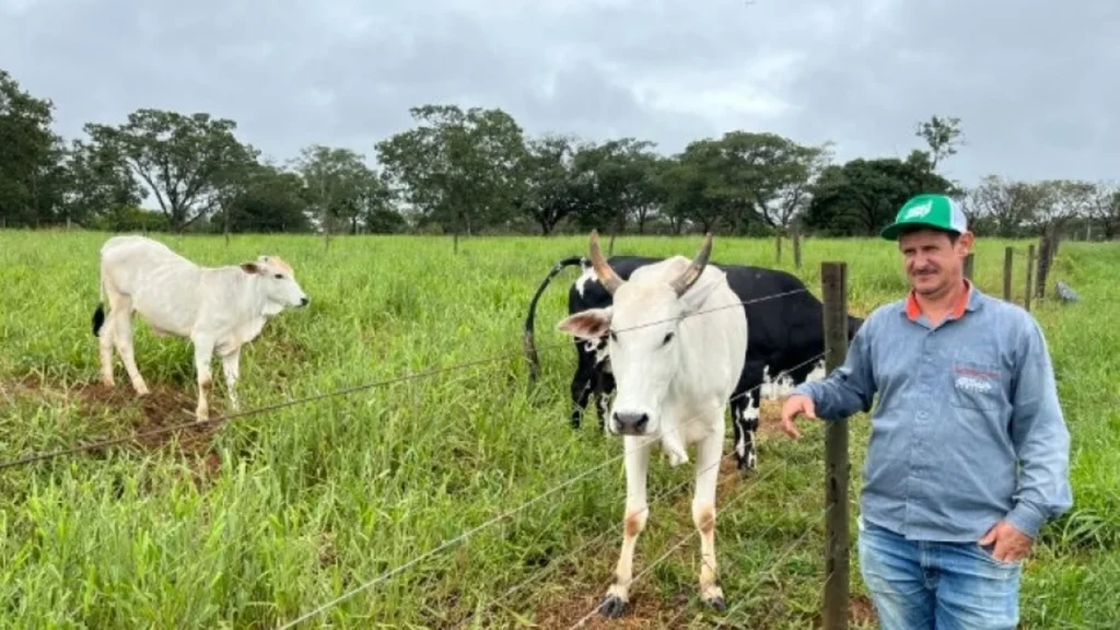 Agro + Verde recupera 3.300 hectares no oeste de Minas Gerais e impulsiona sustentabilidade no campo