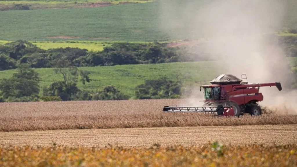 El Niño em Minas Gerais: Prepare-se para os impactos econômicos até 2026