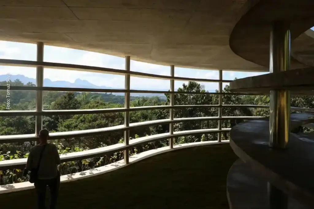 Inhotim Comemora 20 Anos com Novas Obras de Arte e Integração entre Cultura e Natureza