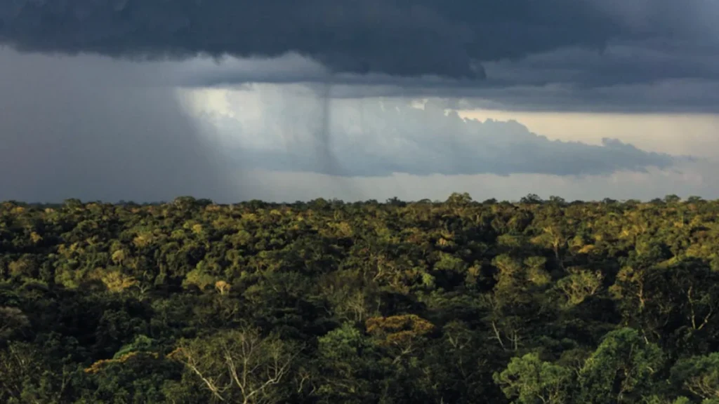Mudanças Climáticas e Desmatamento Afetam Regime de Chuvas na Amazônia até 2050 Mudanças Climáticas e Desmatamento Afetam Regime de Chuvas na Amazônia até 2050