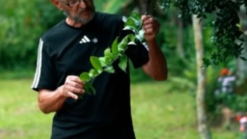 Webséries destacam a tradição gastronômica de Sabará e valorizam produtoras locais Webséries destacam a tradição gastronômica de Sabará e valorizam produtoras locais