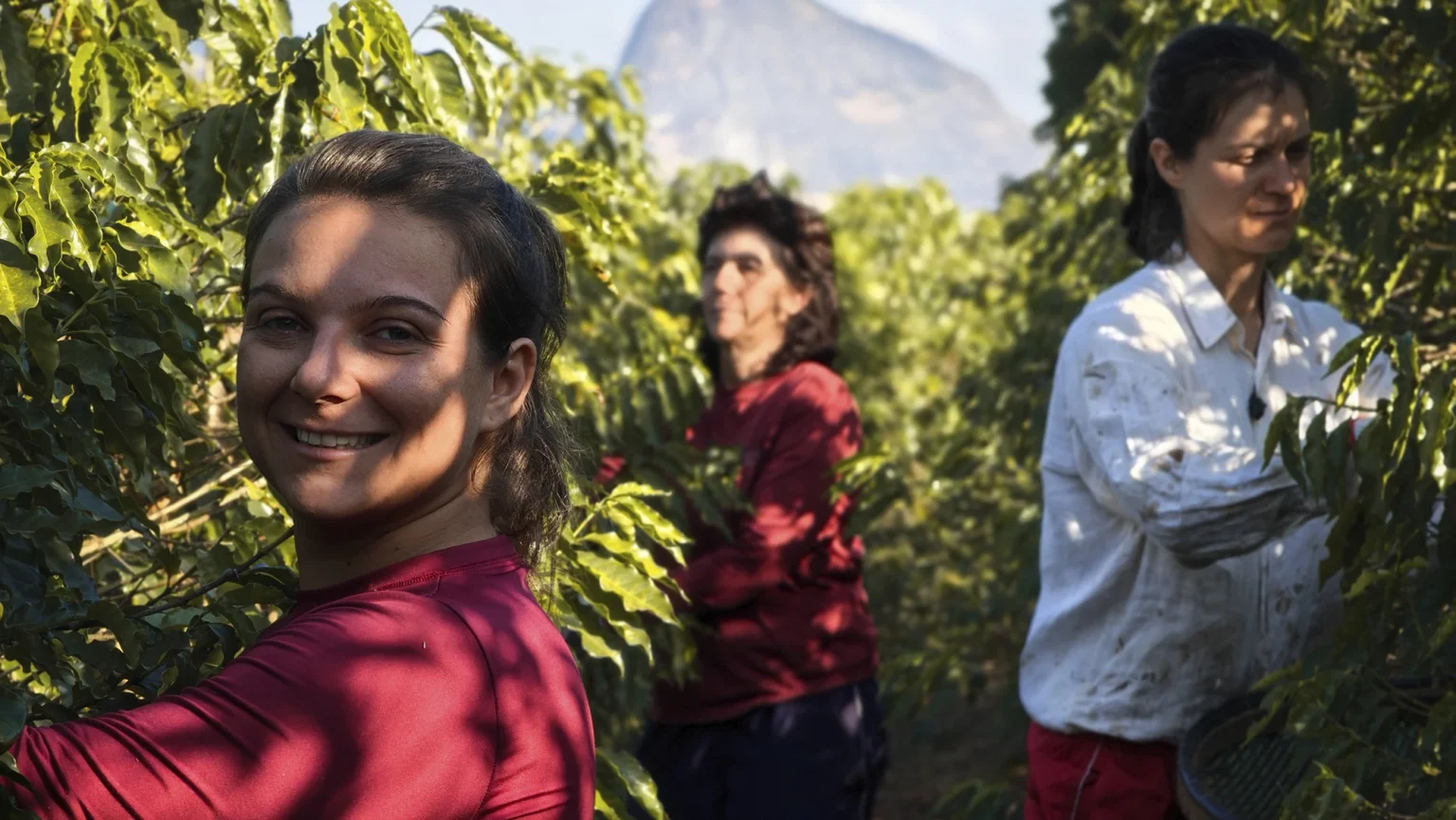 Sicredi Botucaraí amplia programas para desenvolvimento de jovens em Minas Gerais