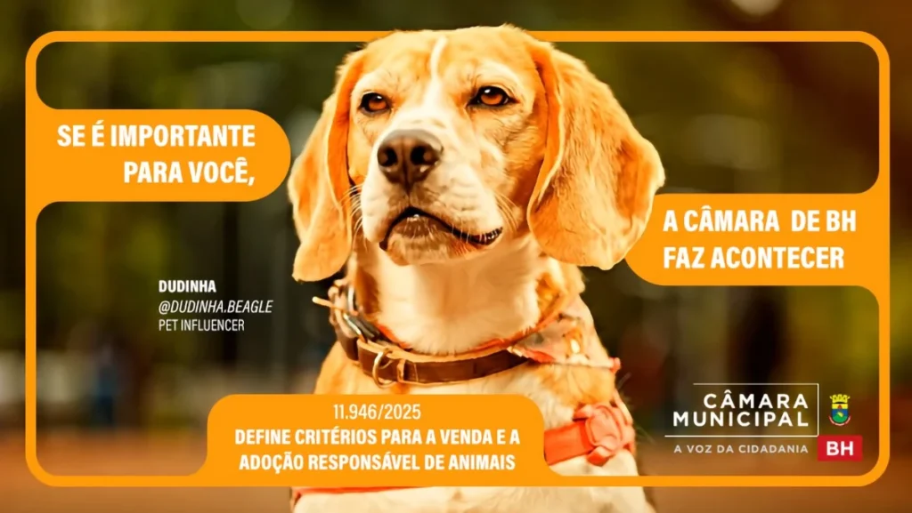 Novas Leis em Belo Horizonte Transformam Transporte, Economia e Inclusão Social
