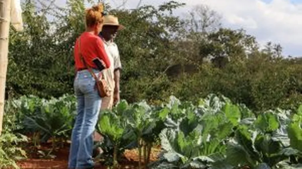 Visita Técnica da Coopertrac Fortalece Agroindústria do Pequi no Quilombo Pontinha Visita Técnica da Coopertrac Fortalece Agroindústria do Pequi no Quilombo Pontinha