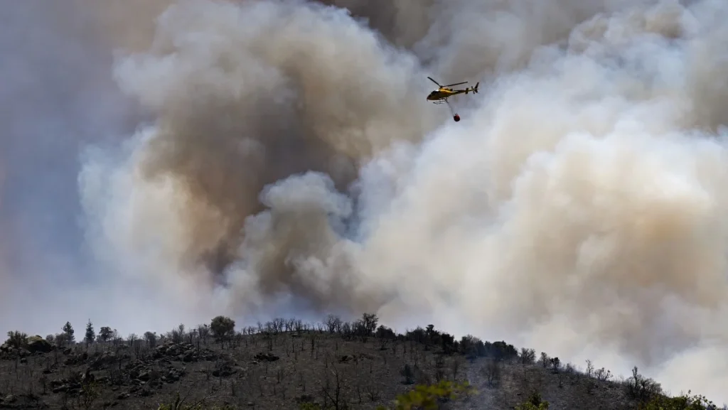 Incêndios na Europa queimam mais de 17 mil hectares em meio a onda de calor extrema Incêndios na Europa queimam mais de 17 mil hectares em meio a onda de calor extrema