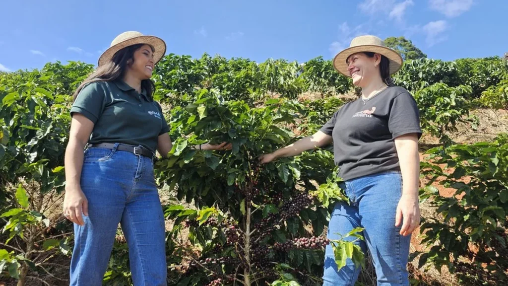 Café Especial em Minas Gerais: Como a Verticalização da Produção Impulsiona Renda e Turismo Rural Café Especial em Minas Gerais: Como a Verticalização da Produção Impulsiona Renda e Turismo Rural