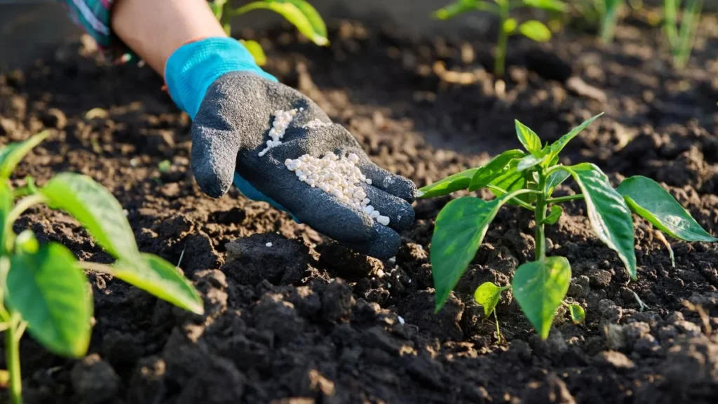 Minas Gerais lidera crescimento no mercado de fertilizantes especiais em 2025 Minas Gerais lidera crescimento no mercado de fertilizantes especiais em 2025