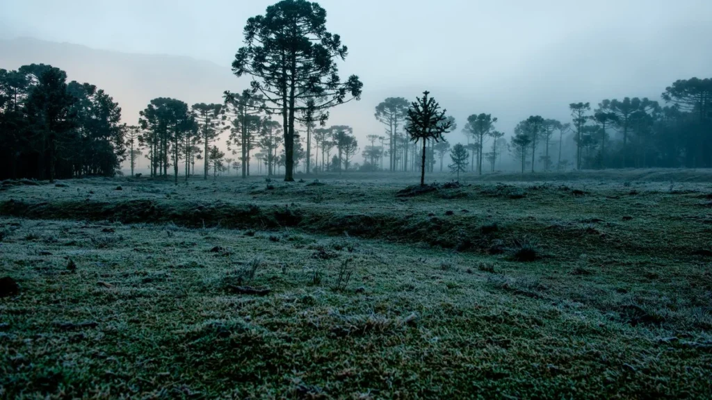 Frio Intenso e Chuvas Acima da Média Marcam o Clima no Brasil em Julho 2026 Frio Intenso e Chuvas Acima da Média Marcam o Clima no Brasil em Julho 2026