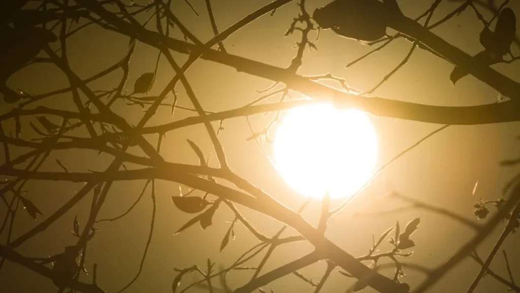 Clima em Minas Gerais: agosto inicia com alertas de tempestades e baixa umidade Clima em Minas Gerais: agosto inicia com alertas de tempestades e baixa umidade